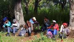 Job seekers wait beside a road for casual work offered by passing motorists in Eikenhof, south of Johannesburg, South Africa, 3 March 2022. Reuters/Siphiwe Sibeko