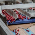 New Cherry Time facility to help ship seasonal harvest