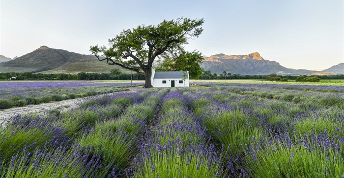 Image by Andrew Dunkin