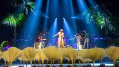 Image supplied: The Sunlife rebrand was announced at a celebration on Sugar Beach