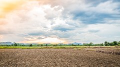 New food technologies could release 80% of the world's farmland back to nature