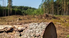 SA young engineers to progress to global round of Blue Sky Awards