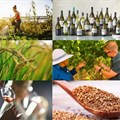 #BestofBiz 2022: Agriculture