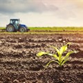 How SA farmers can reap the benefits of agriculture insurance