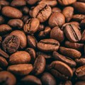 Uganda coffee exports drop 15%, hurt by drought