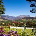 La Petite Ferme - a picture-perfect destination in the Franschoek Winelands