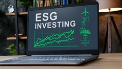 What does ESG mean? Two business scholars explain what environmental, social and governance standards and principles are