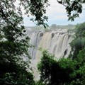 Zambia receives 'debt-for-nature' proposal from WWF for restructuring