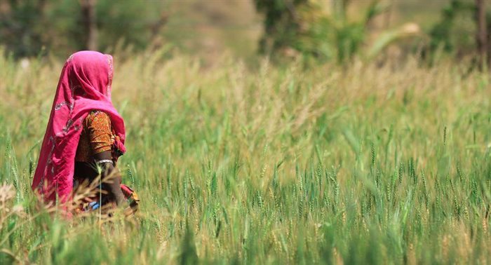 Source: Nicholas Bayss ©