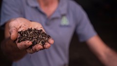 Funding puts insect protein maker ahead of food security fight