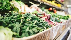 How science and innovation can strengthen global food systems