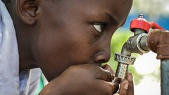 Image source: Nyau Mimi from