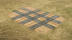 Burberry brands South African meadow with signature check pattern