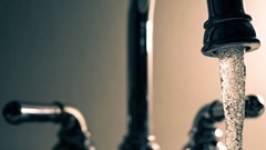 Image source: Steve Johnson from