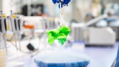 Plastic-eating enzymes could help combat fashion's polyester waste problem