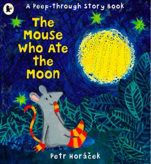 The Big Read: Joy of reading ignited as learners from 8 Cape Flats schools celebrate World Read Aloud Day