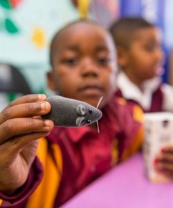 The joy of reading was sparked on World Read Aloud day as learners from eight Cape Town schools, read the same sweet children’s story together. Picture credit: Jurie Senekal