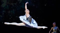 When the (ballet) shoe fits...