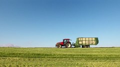 Source: Mathias_Beckmann via