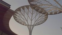 Solar trees continue to light the way for a sustainable future