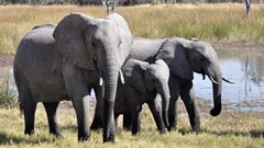 Image source: Pixabay from