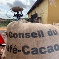 Ivory Coast domestic cocoa exporters on verge of default due to bean shortage