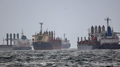 Renewing Black Sea grain deal critical for Africa, WFP boss says