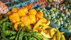 Image source: Mark Stebnicki from