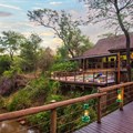 Dream expands portfolio with Madikwe River Lodge