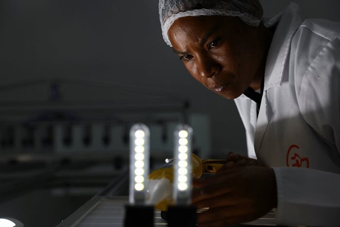 Worker tests LED lights on a solar panel at Ener-G-Africa factory in Cape Town. Source: Reuters/Esa Alexander