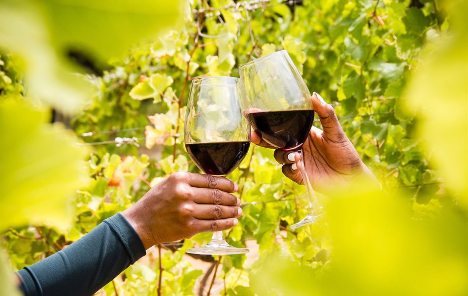 February - the month-long birthday celebration for South African wine