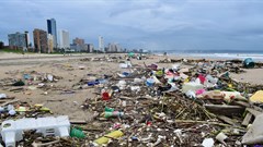 Image: South Beach in Durban earlier this February after heavy rains. Much of it comes from rivers that empty into the sea. Photos: Lucas Nowicki | GroundUp
