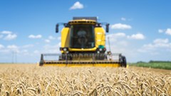 A sign of resilience as agriculture posts another year of strong exports in 2022