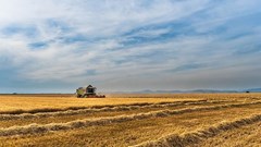 Source: josealbafotos via