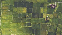 Image source: Sergey Skripnikov –