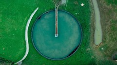 Image source: Kelly L from