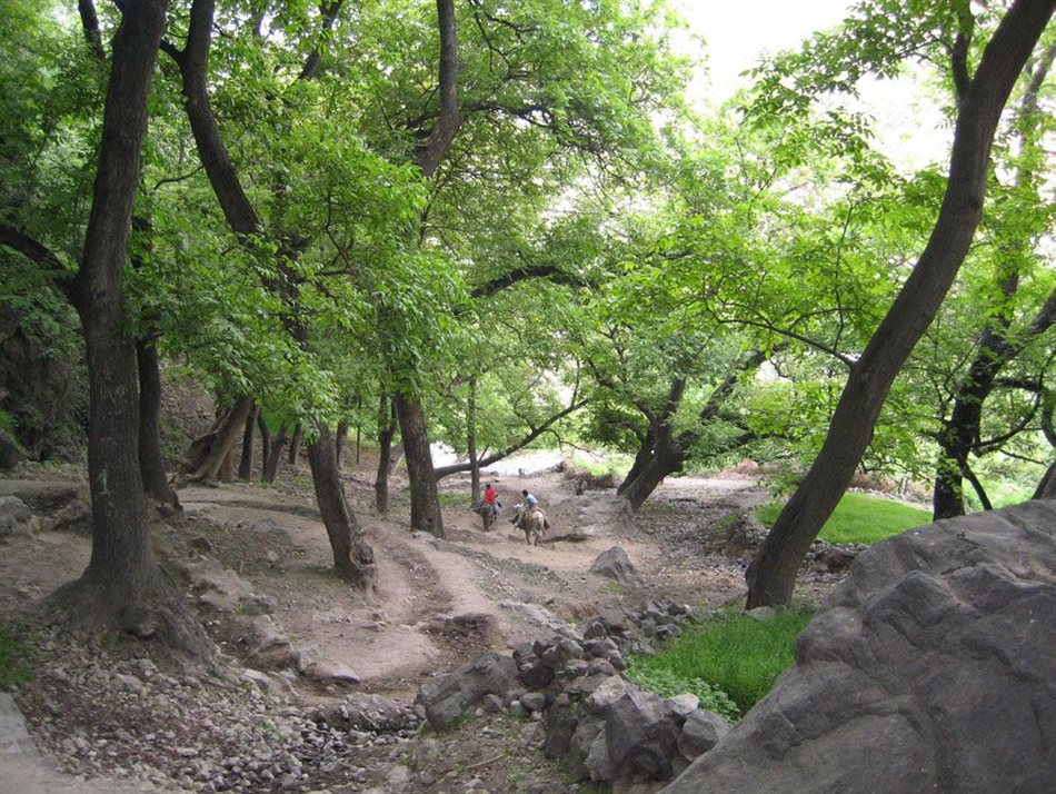 Image by Alexander Buck