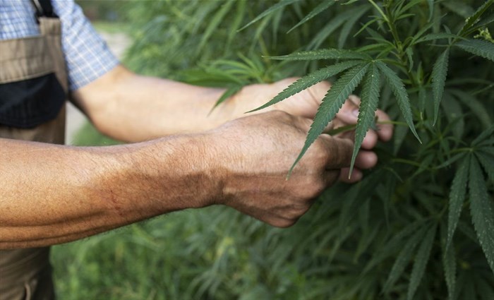 Source: aleksandarlittlewolf via