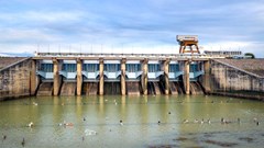 Image source: Quang Nguyen Vinh –