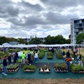 Scores of people came to the launch of the Living Roots SA indigenous plant nursery in Claremont on Monday. The project is run by people who are homeless. Photos: Matthew Hirsch / GroundUp
