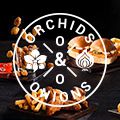 #OrchidsandOnions: Chicken Licken hits the spot