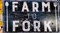 Why traceability is key to a sustainable future in South African agriculture