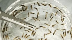 Source: World Economic Forum.