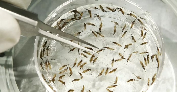 Source: World Economic Forum.