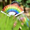 File photo: Quin Karala, 29, a member of the lesbian, gay, bisexual, transgender, intersex and queer (LGBTQ) community and a single mother of one poses for a picture with rainbow colours at the offices of Rella Women's Empowerment Program, for LGBTQ rights advocacy, after a Reuters interview in Kulambiro suburb of Kampala, Uganda 4 April 2023. Reuters/Abubaker Lubowa/File Photo