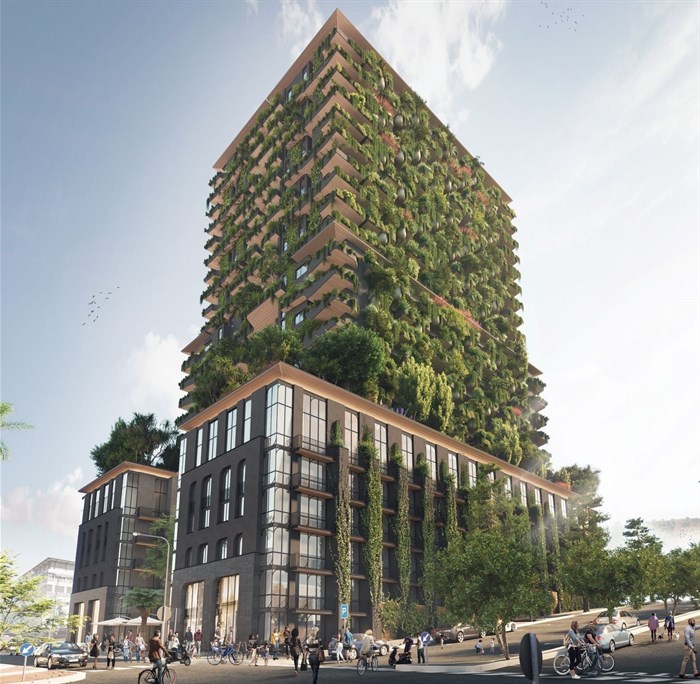 The Fynbos will be draped in a 1200m2 vertical garden made up of 30 species of indigenous trees and 20 species of indigenous shrubs | image supplied