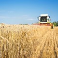 Farmers get relief as diesel prices dip before summer crop harvest