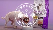 #OrchidsandOnions: Canine Cuisine 'barks' at competitor in new ad