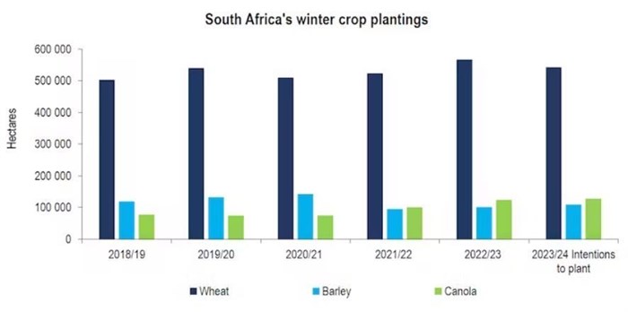Source: Crop Estimates Committee and Agbiz Research