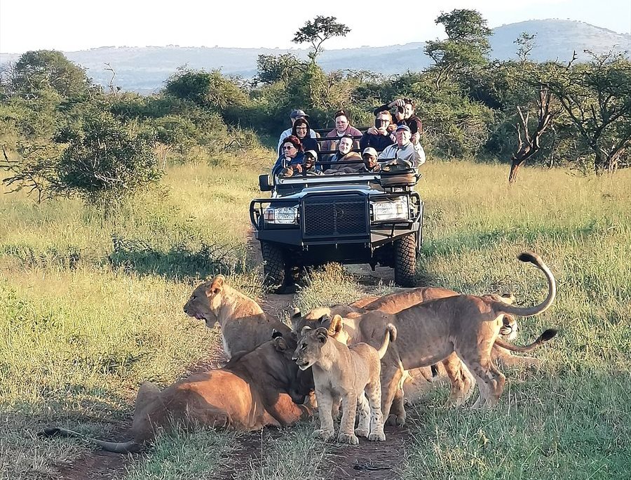 One of the most amazing sights I have ever seen in all my years of visiting the bush (Photo credit: Danette Breitenbach)